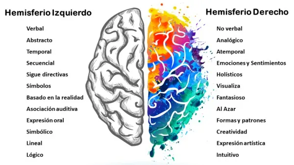 neurociencia-del-comic-cerebro-hemisferios